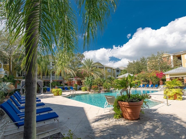 view of swimming pool with a patio