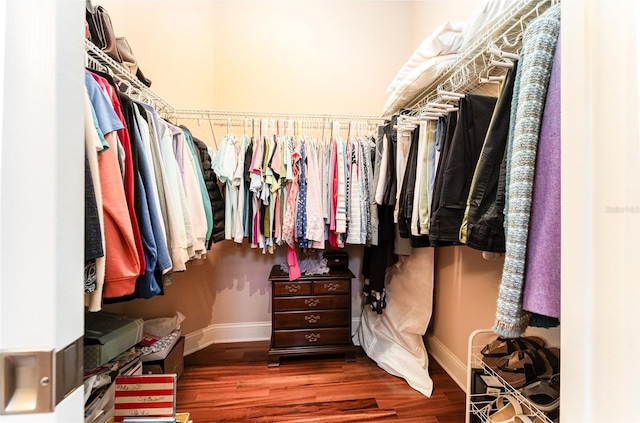 walk in closet featuring dark hardwood / wood-style floors