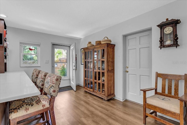 dining space with light hardwood / wood-style flooring