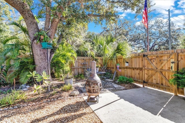 view of yard featuring a patio and an outdoor fire pit