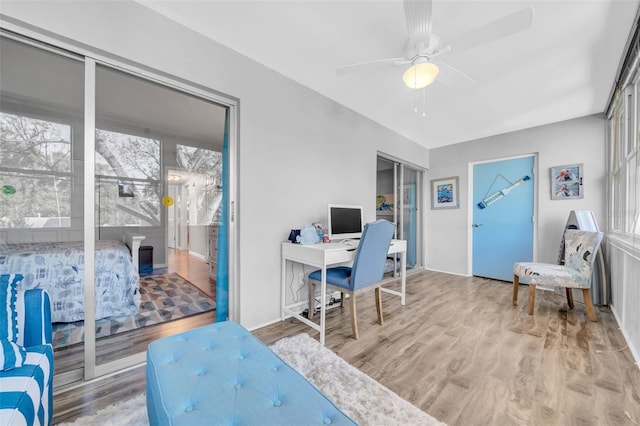 office area featuring hardwood / wood-style flooring and ceiling fan