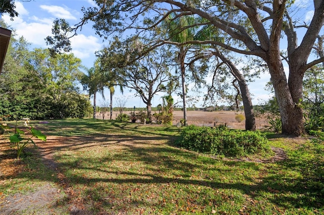 view of yard featuring a rural view