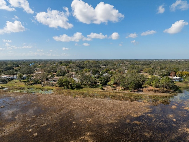 1472 Ivydale Rd, Spring Hill, FL 34606 - drone / aerial view