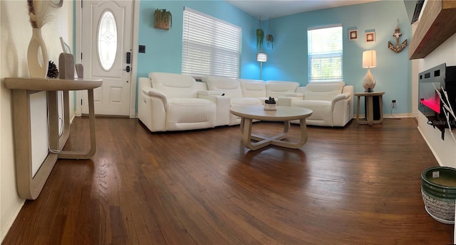 living room featuring dark hardwood / wood-style flooring