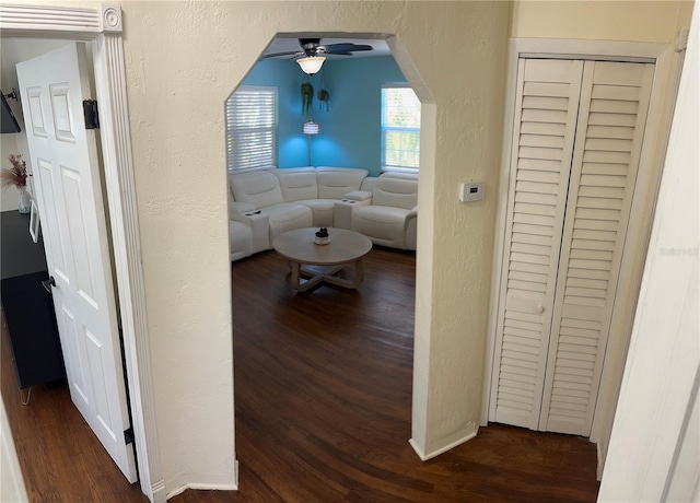 hallway with dark hardwood / wood-style floors