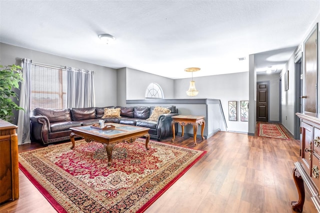 living room featuring a healthy amount of sunlight, hardwood / wood-style floors, and a textured ceiling