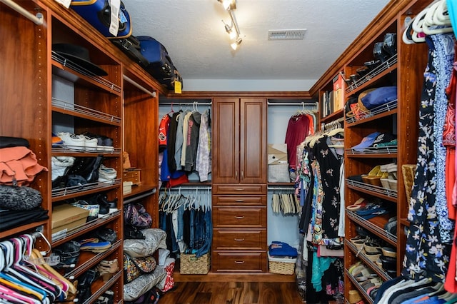 spacious closet with dark wood-type flooring