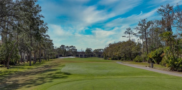 1290 Clays Trl, Oldsmar, FL 34677 - photo 26