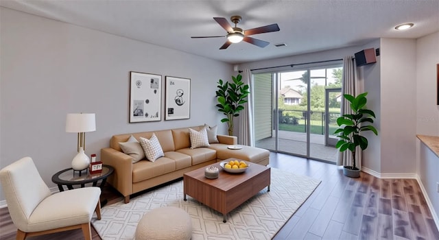 1290 Clays Trl, Oldsmar, FL 34677 - photo 9