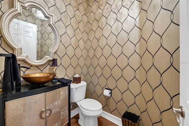 bathroom with vanity, wood-type flooring, and toilet