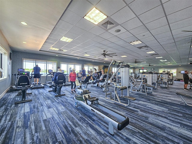 workout area featuring carpet, a paneled ceiling, and ceiling fan