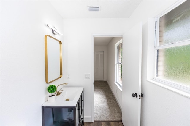 interior space featuring sink and dark wood-type flooring