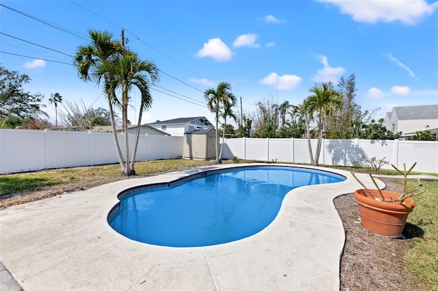 view of swimming pool with a shed and a patio area