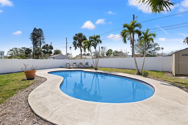 view of swimming pool featuring a patio and a storage shed