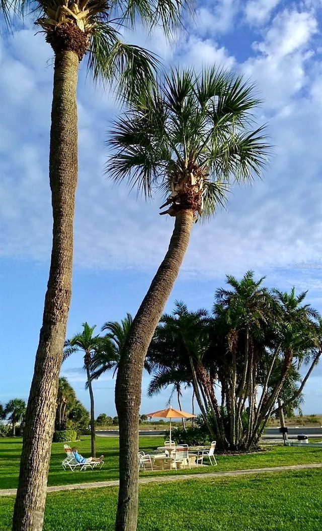 surrounding community featuring a yard