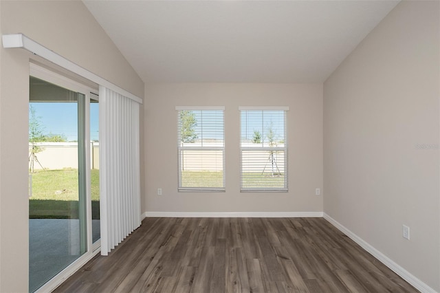 spare room featuring vaulted ceiling, plenty of natural light, and dark wood-type flooring