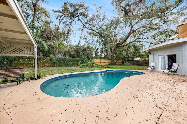 view of swimming pool with a patio area