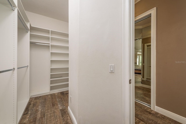 walk in closet with dark wood-type flooring