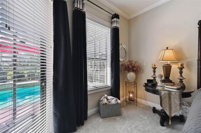 interior space with baseboards, carpet, and ornamental molding