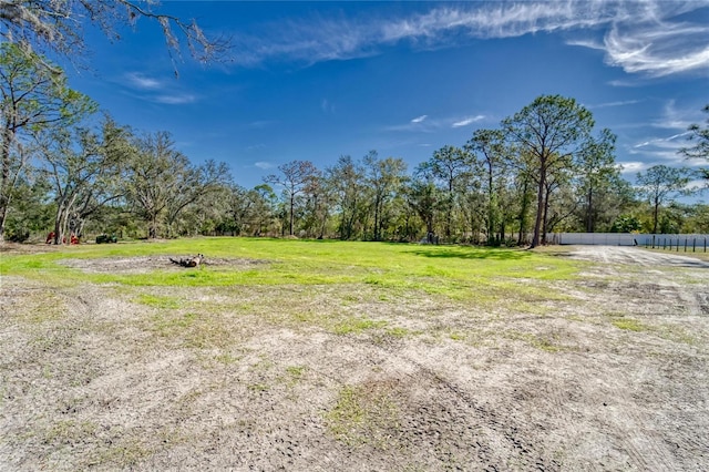 13215 Seminole Trl, Wimauma, FL 33598 - view of yard