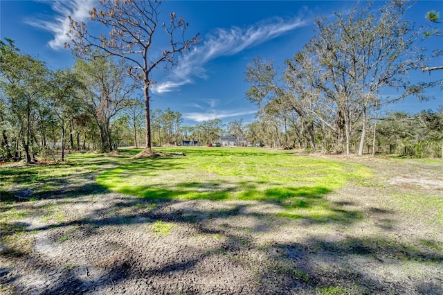 13215 Seminole Trl, Wimauma, FL 33598 - view of yard