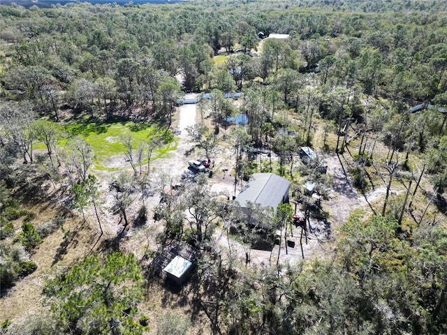 13215 Seminole Trl, Wimauma, FL 33598 - drone / aerial view