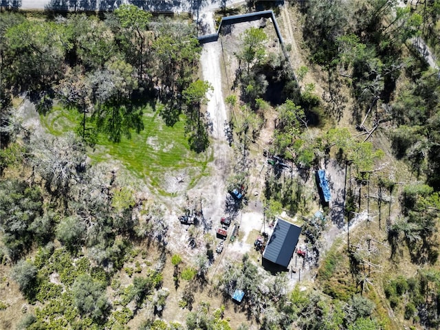 13215 Seminole Trl, Wimauma, FL 33598 - birds eye view of property