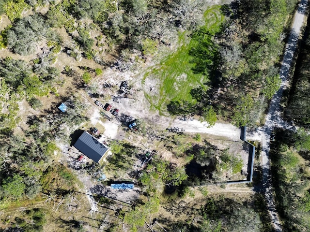 13215 Seminole Trl, Wimauma, FL 33598 - drone / aerial view