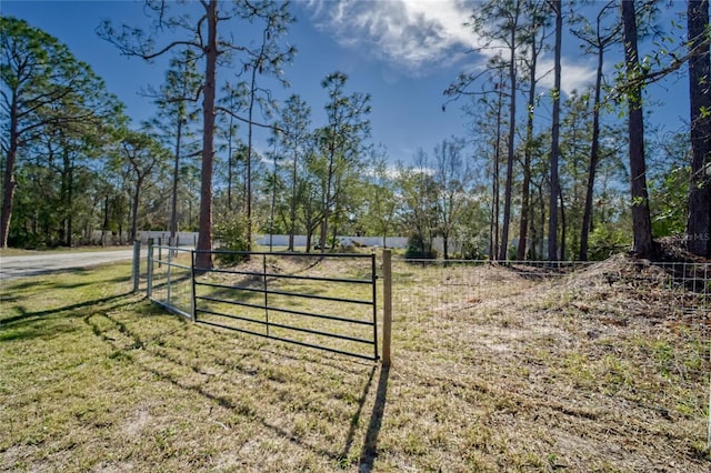 13215 Seminole Trl, Wimauma, FL 33598 - view of yard