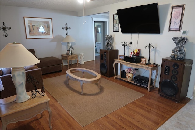 living room with hardwood / wood-style floors