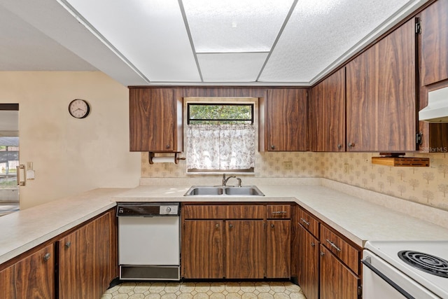 kitchen with sink, ventilation hood, kitchen peninsula, and dishwasher