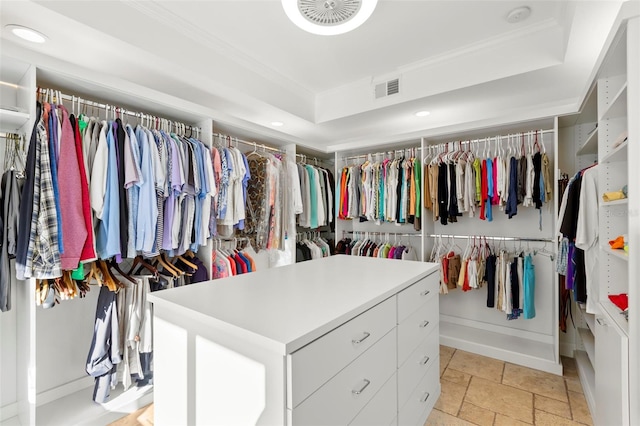 walk in closet with a raised ceiling