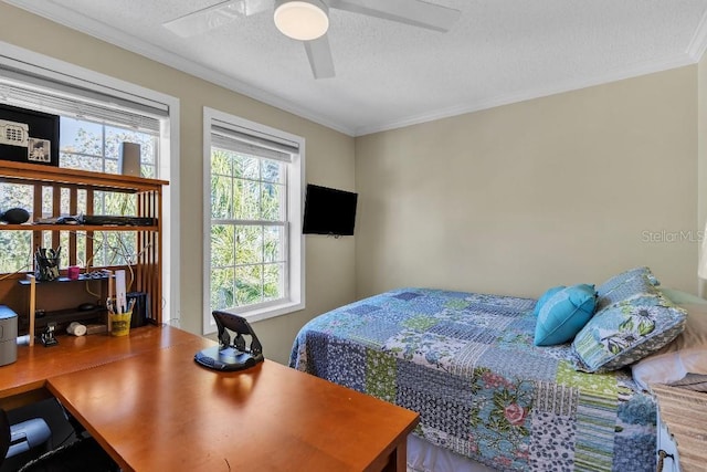 bedroom featuring crown molding, ceiling fan, and a textured ceiling