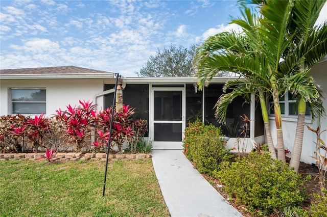 view of exterior entry with a yard and stucco siding