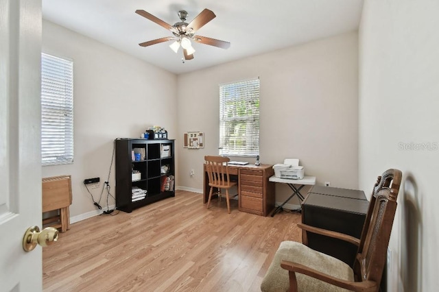 office space featuring ceiling fan and light wood-type flooring