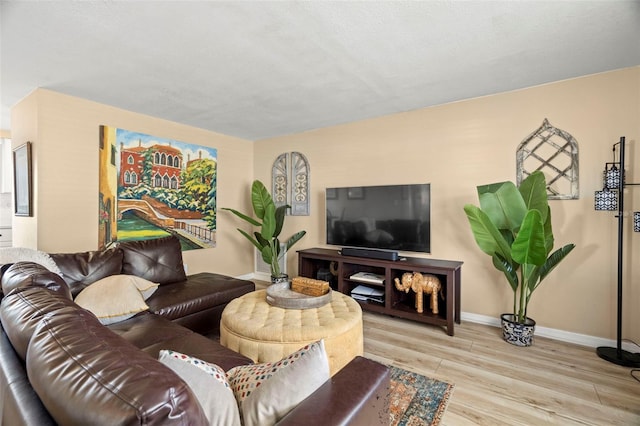 living room with light hardwood / wood-style floors