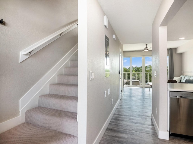 staircase featuring hardwood / wood-style floors and ceiling fan