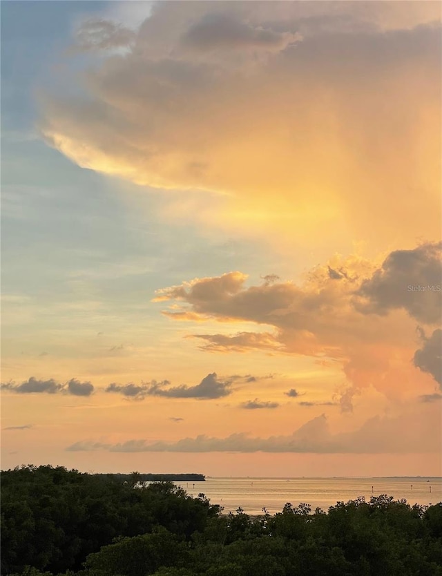 nature at dusk featuring a water view