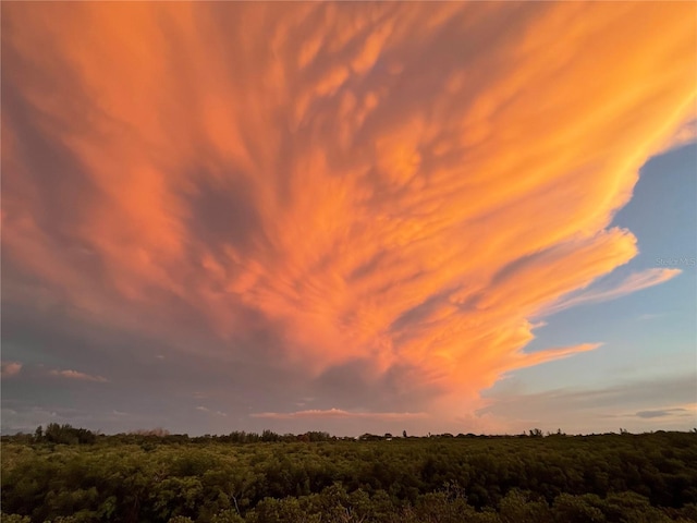 view of nature at dusk