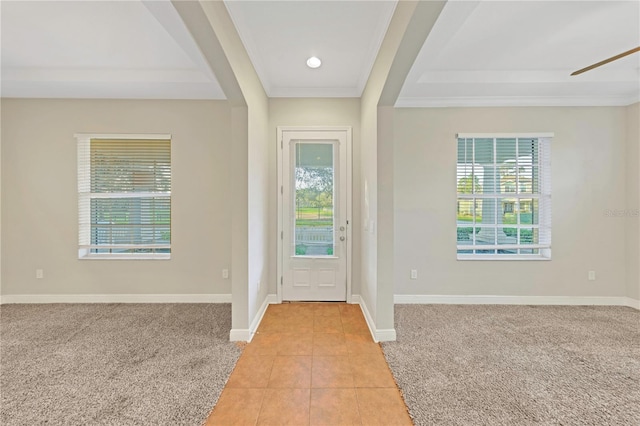 entrance foyer featuring light carpet, plenty of natural light, and baseboards