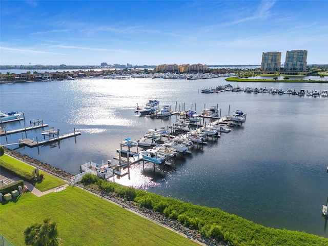 water view with a dock and a city view