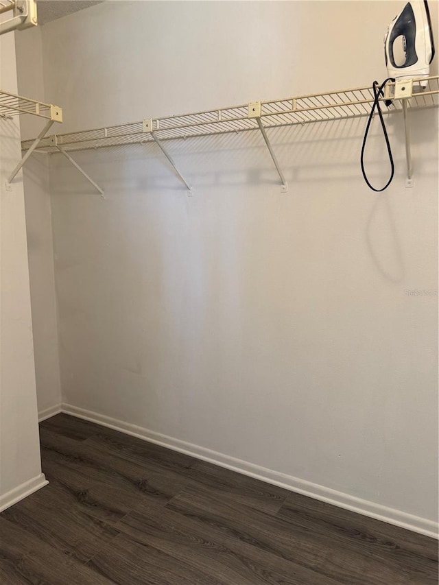 walk in closet with dark wood-type flooring