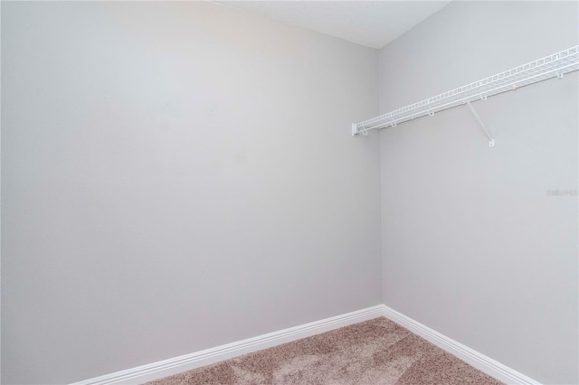 spacious closet with carpet flooring