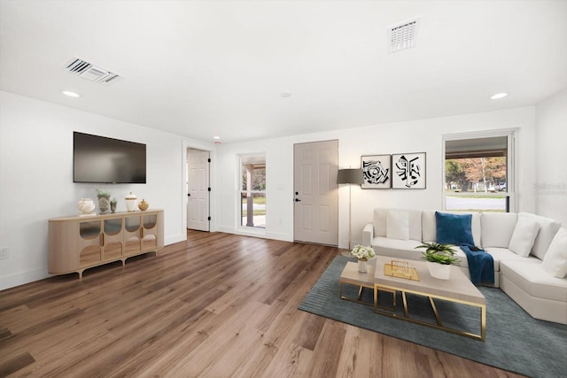 living room with wood-type flooring and a wealth of natural light