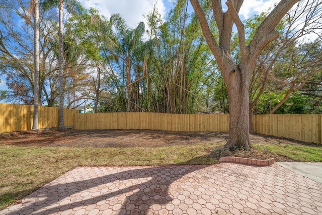 view of yard featuring a patio