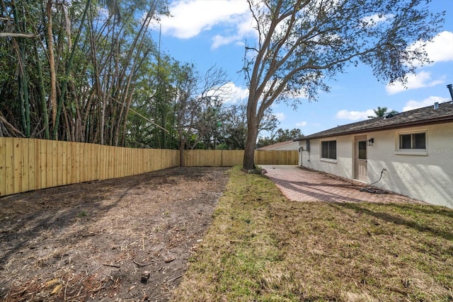 view of yard featuring a patio area