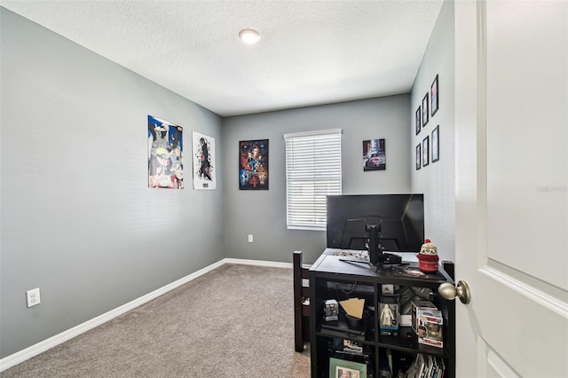 16126 Sunday Stroll Way, Odessa, FL 33556 - carpeted office with baseboards and a textured ceiling