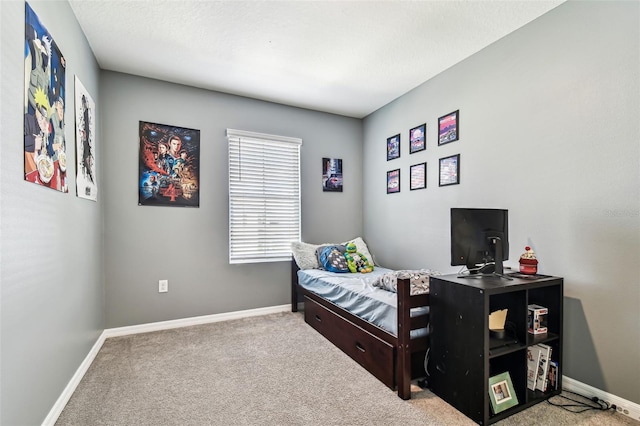 16126 Sunday Stroll Way, Odessa, FL 33556 - bedroom featuring carpet and baseboards