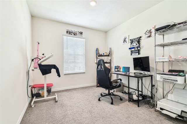 16126 Sunday Stroll Way, Odessa, FL 33556 - carpeted office featuring baseboards