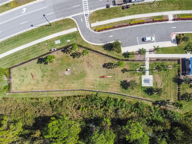 16126 Sunday Stroll Way, Odessa, FL 33556 - drone / aerial view